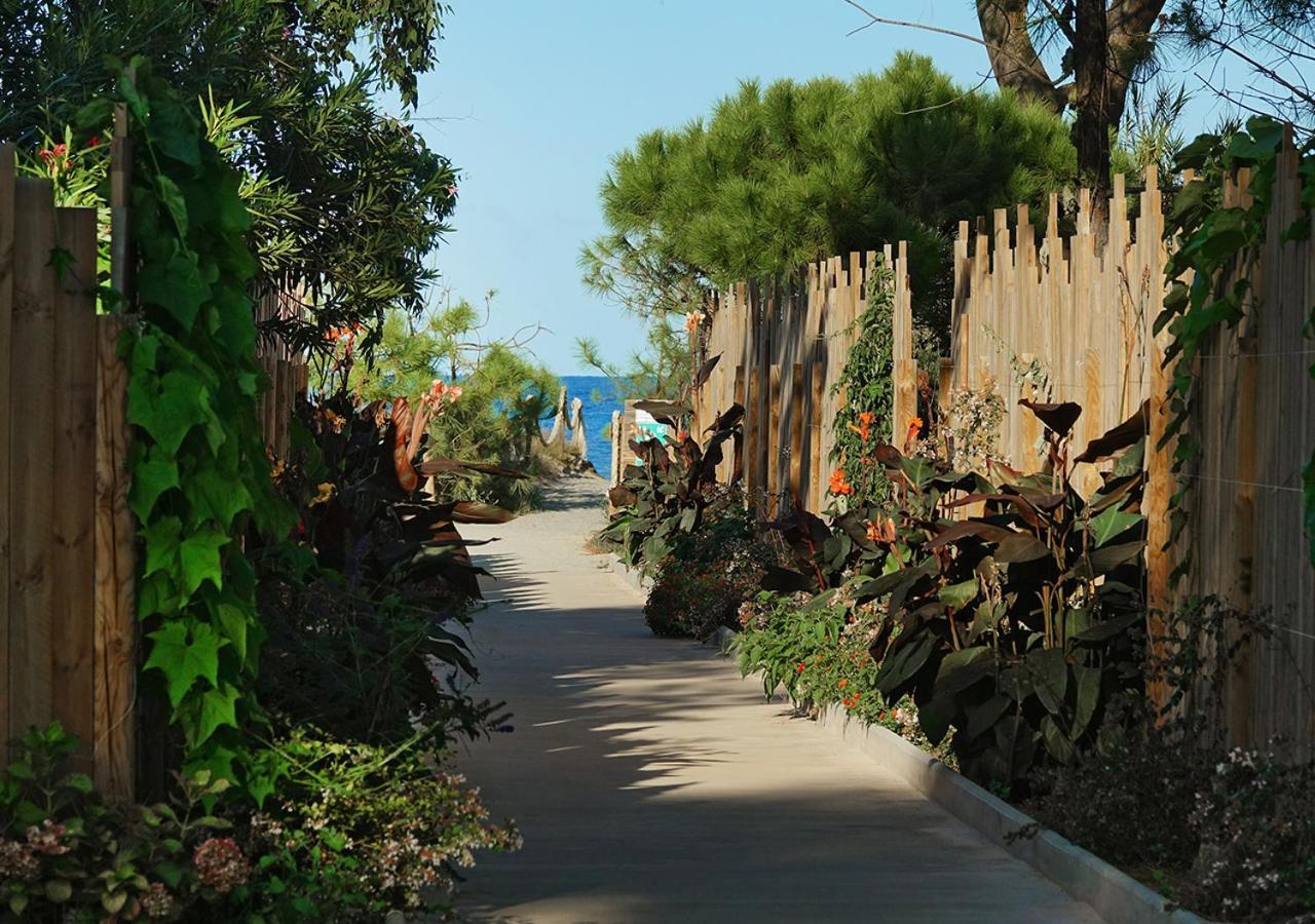 Camping San Damiano Biguglia  Exterior foto